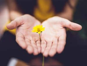 charitable organisation