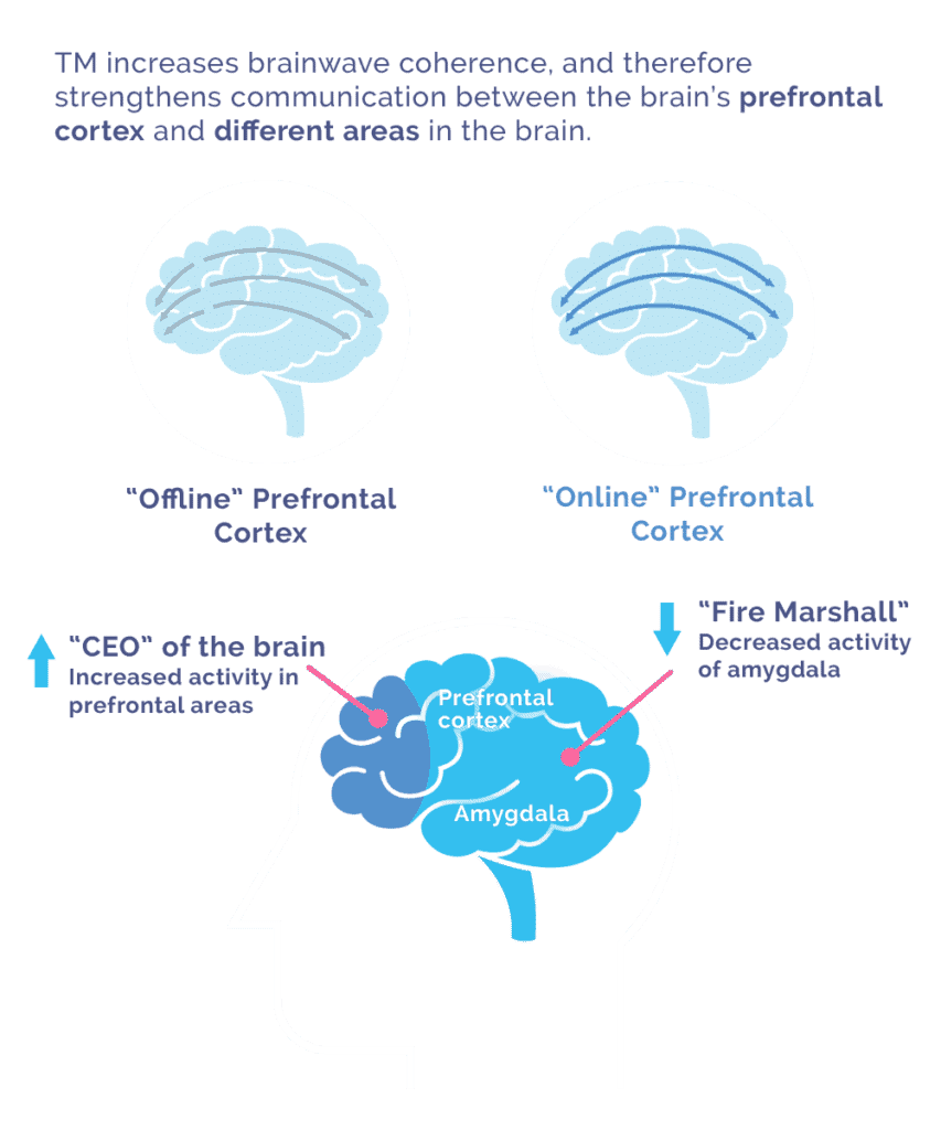 new brain