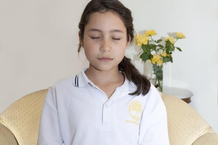 AU Maharishi School